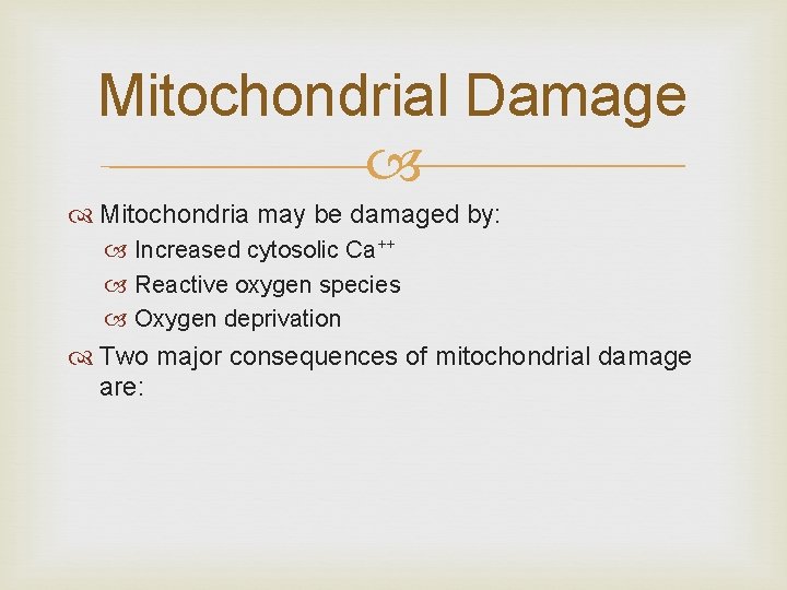 Mitochondrial Damage Mitochondria may be damaged by: Increased cytosolic Ca++ Reactive oxygen species Oxygen