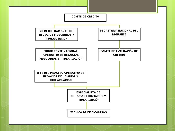 COMITÉ DE CREDITO GERENTE NACIONAL DE NEGOCIOS FIDUCIARIOS Y TITULARIZACION SECRETARIA NACIONAL DEL MIGRANTE