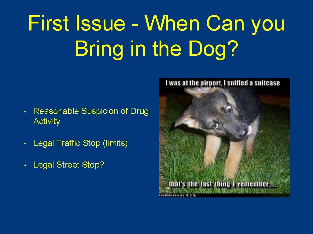 First Issue - When Can you Bring in the Dog? • Reasonable Suspicion of