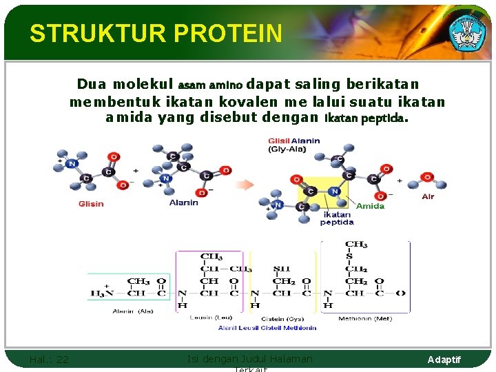 STRUKTUR PROTEIN Dua molekul asam amino dapat saling berikatan membentuk ikatan kovalen me lalui