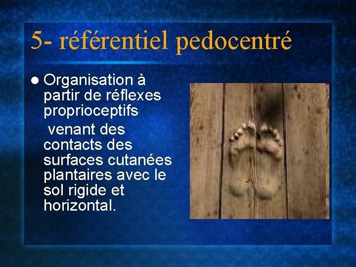 5 - référentiel pedocentré l Organisation à partir de réflexes proprioceptifs venant des contacts