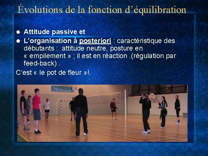 Évolutions de la fonction d’équilibration Attitude passive et l L’organisation à posteriori : caractéristique