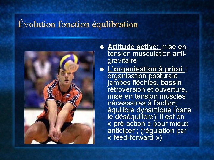 Évolution fonction équlibration Attitude active: mise en tension musculation antigravitaire l L’organisation à priori