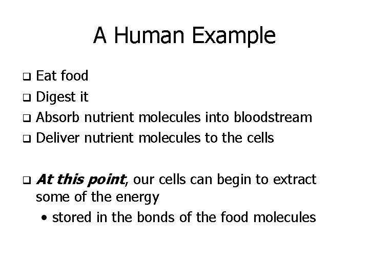 A Human Example Eat food q Digest it q Absorb nutrient molecules into bloodstream