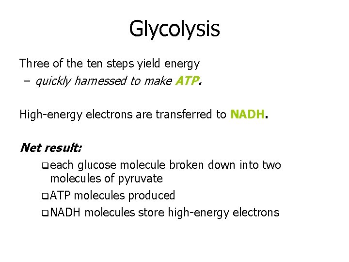 Glycolysis Three of the ten steps yield energy – quickly harnessed to make ATP.