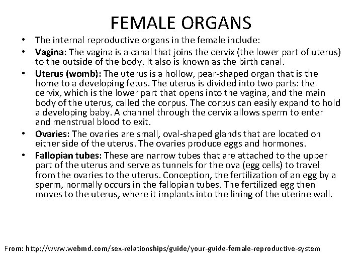 FEMALE ORGANS • The internal reproductive organs in the female include: • Vagina: The