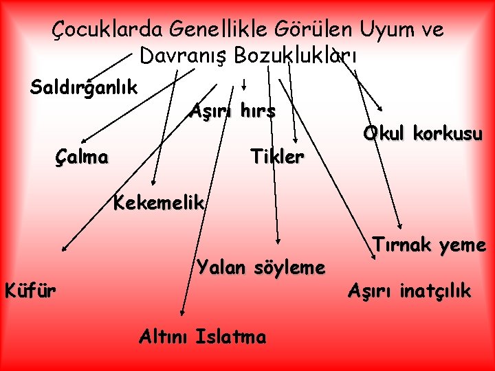 Çocuklarda Genellikle Görülen Uyum ve Davranış Bozuklukları Saldırganlık Aşırı hırs Çalma Tikler Okul korkusu