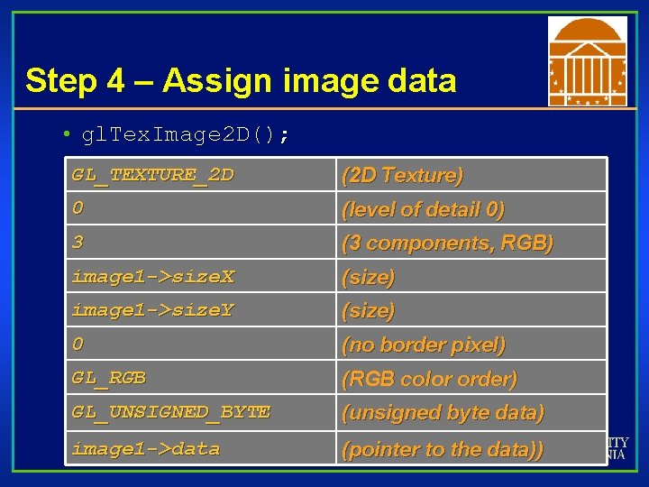 Step 4 – Assign image data • gl. Tex. Image 2 D(); GL_TEXTURE_2 D