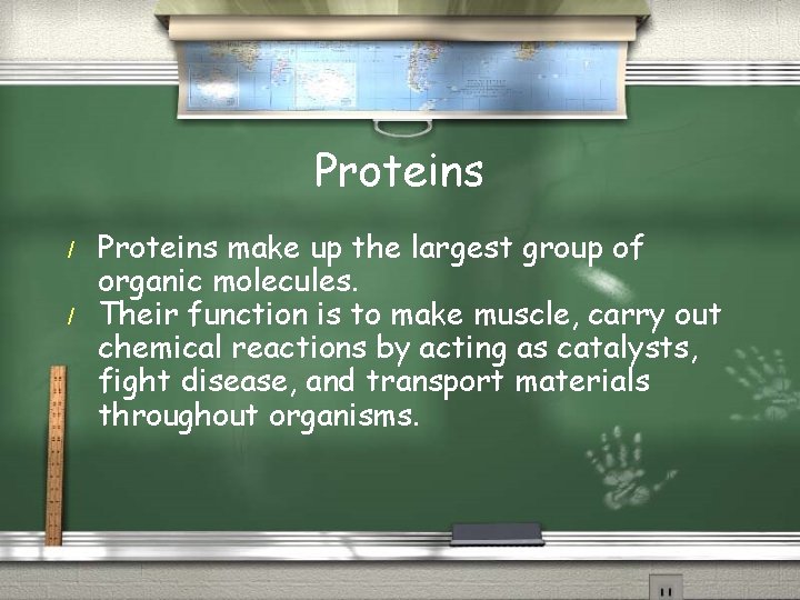 Proteins / / Proteins make up the largest group of organic molecules. Their function