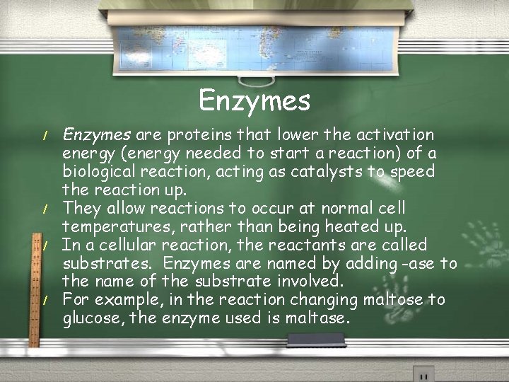 Enzymes / / Enzymes are proteins that lower the activation energy (energy needed to