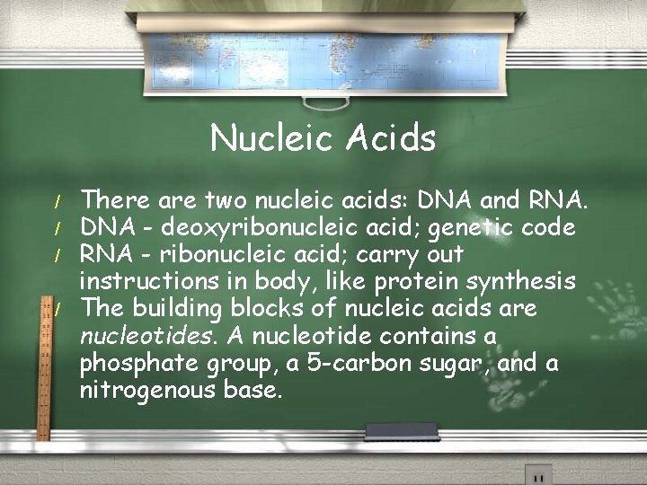Nucleic Acids / / There are two nucleic acids: DNA and RNA. DNA -