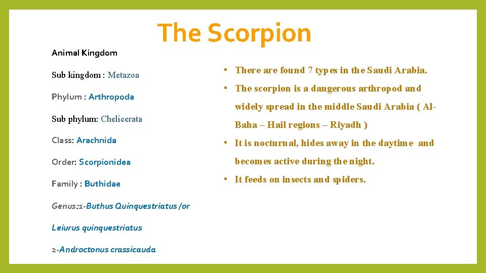 Animal Kingdom The Scorpion Sub kingdom : Metazoa Phylum : Arthropoda Sub phylum: Chelicerata