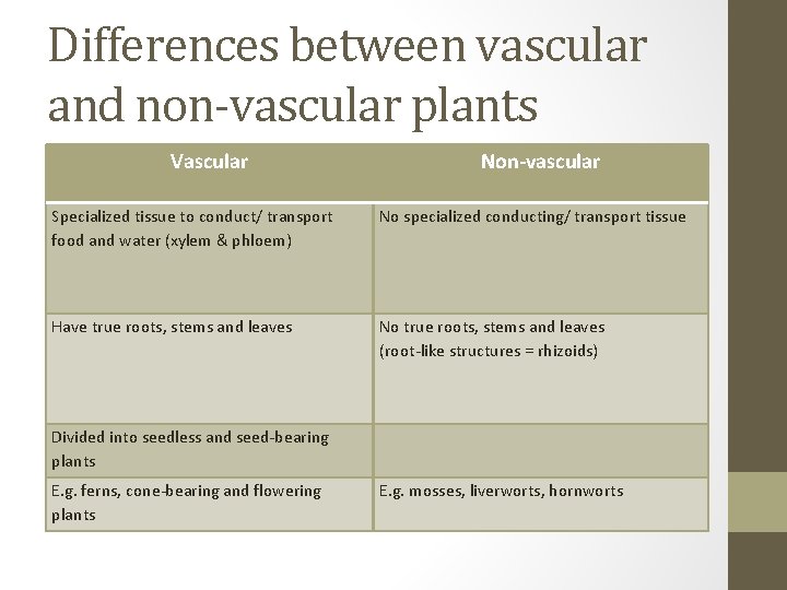Differences between vascular and non-vascular plants Vascular Non-vascular Specialized tissue to conduct/ transport food