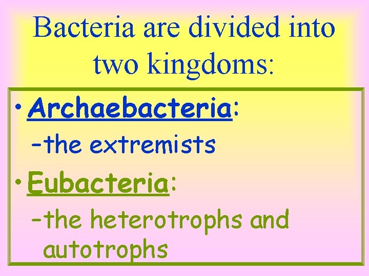 Bacteria are divided into two kingdoms: • Archaebacteria: –the extremists • Eubacteria: –the heterotrophs
