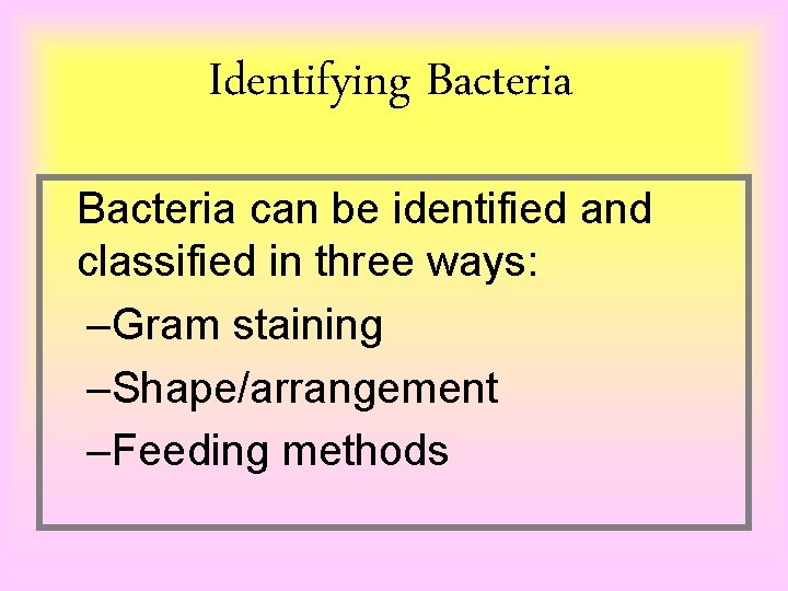 Identifying Bacteria can be identified and classified in three ways: –Gram staining –Shape/arrangement –Feeding