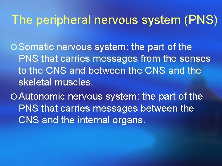 The peripheral nervous system (PNS) ¡ Somatic nervous system: the part of the PNS