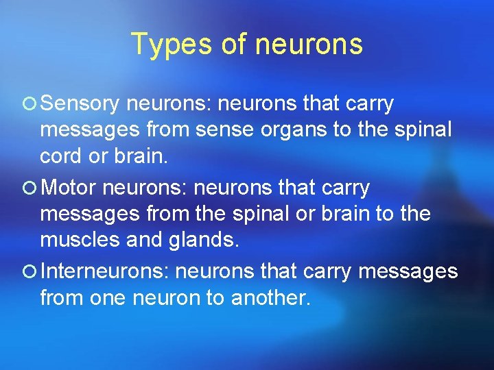 Types of neurons ¡ Sensory neurons: neurons that carry messages from sense organs to