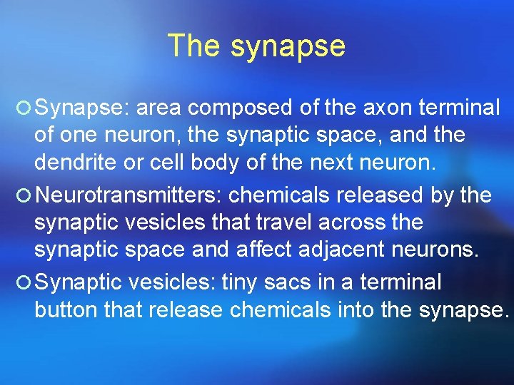 The synapse ¡ Synapse: area composed of the axon terminal of one neuron, the