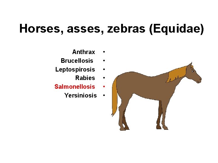 Horses, asses, zebras (Equidae) Anthrax Brucellosis Leptospirosis Rabies Salmonellosis Yersiniosis • • • 