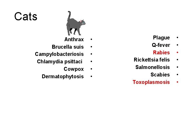 Cats Anthrax Brucella suis Campylobacteriosis Chlamydia psittaci Cowpox Dermatophytosis • • • Plague Q-fever