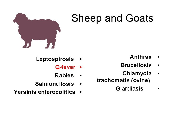 Sheep and Goats Leptospirosis Q-fever Rabies Salmonellosis Yersinia enterocolitica • • • Anthrax Brucellosis