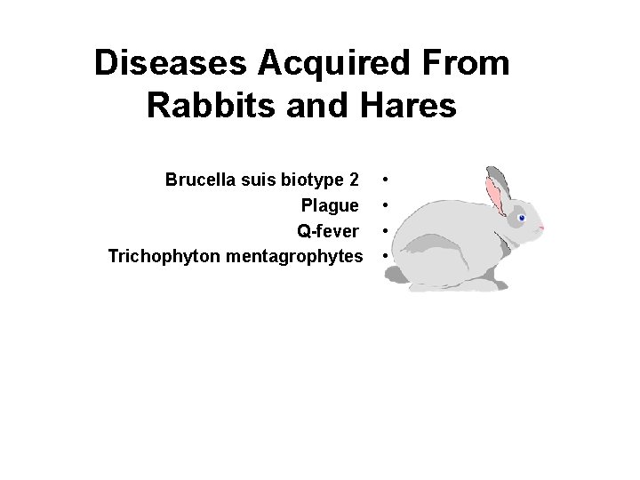 Diseases Acquired From Rabbits and Hares Brucella suis biotype 2 Plague Q-fever Trichophyton mentagrophytes