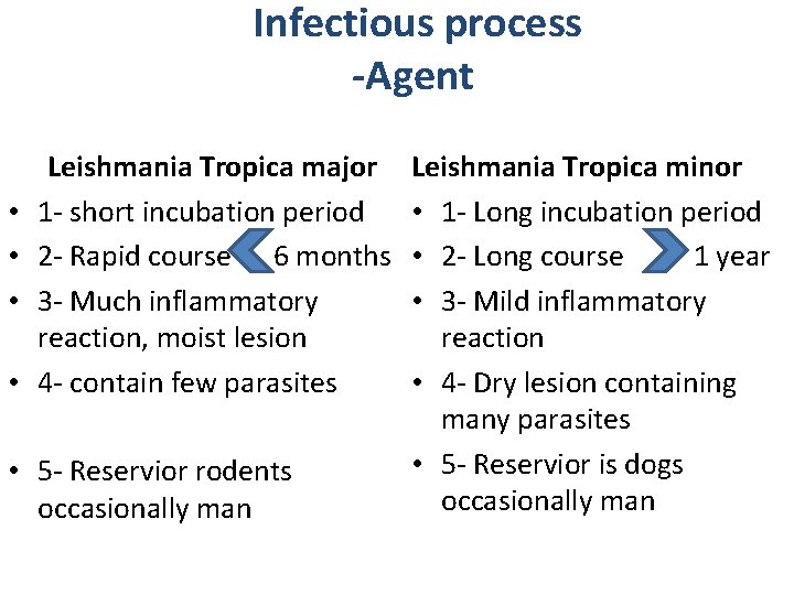 Infectious process -Agent • • Leishmania Tropica major 1 - short incubation period 2