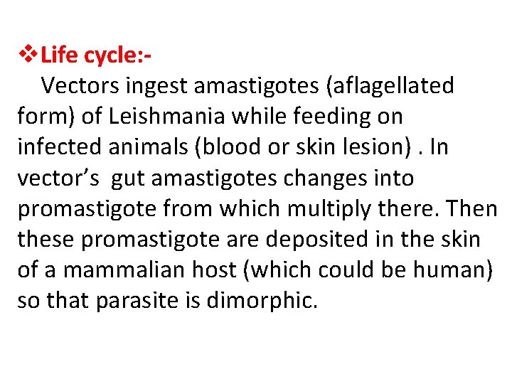 v. Life cycle: Vectors ingest amastigotes (aflagellated form) of Leishmania while feeding on infected