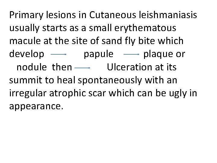 Primary lesions in Cutaneous leishmaniasis usually starts as a small erythematous macule at the