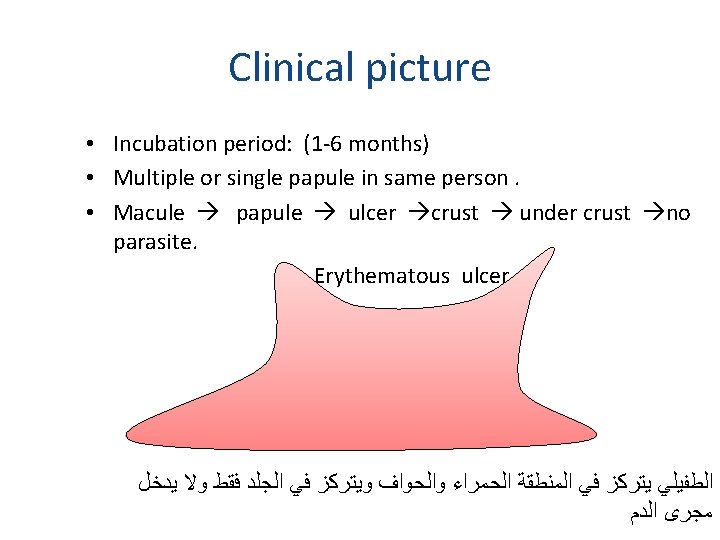 Clinical picture • Incubation period: (1 -6 months) • Multiple or single papule in