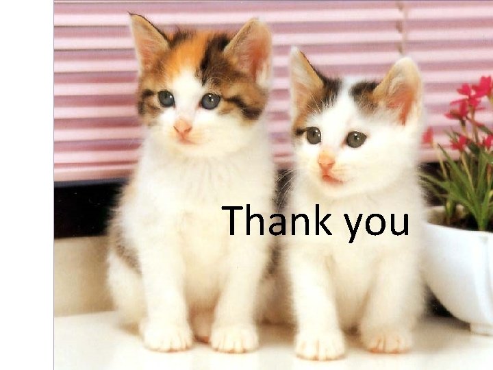 Thank you 