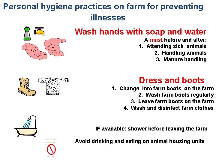 Personal hygiene practices on farm for preventing illnesses Wash hands with soap and water