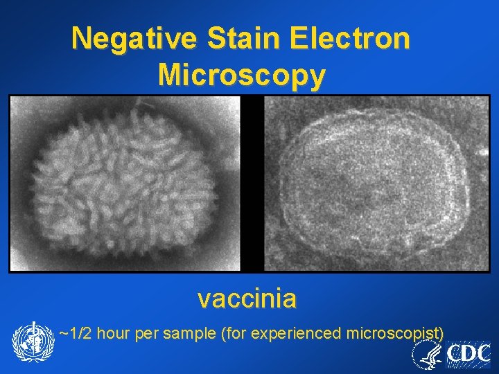 Negative Stain Electron Microscopy vaccinia ~1/2 hour per sample (for experienced microscopist) 