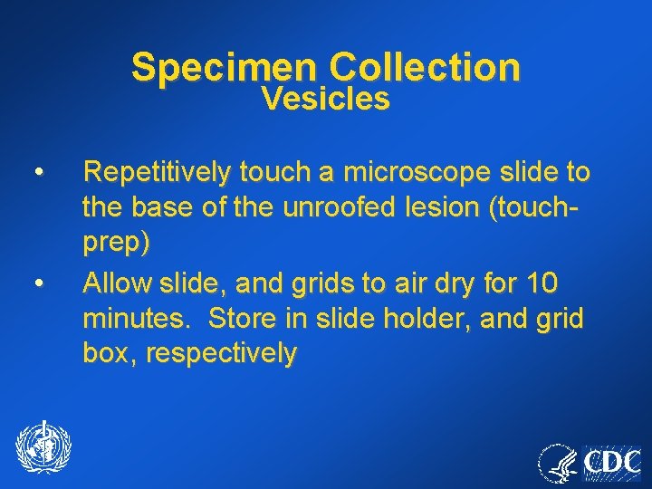 Specimen Collection Vesicles • • Repetitively touch a microscope slide to the base of