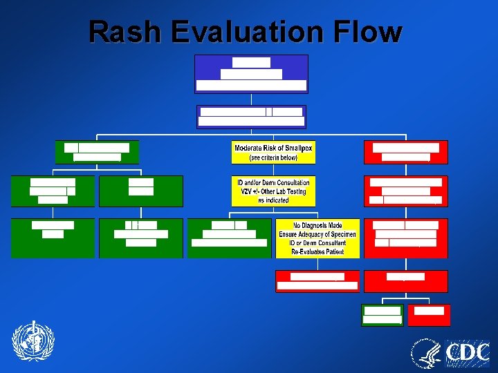 Rash Evaluation Flow 