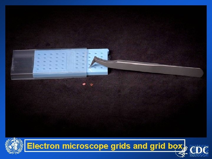 Electron microscope grids and grid box. 