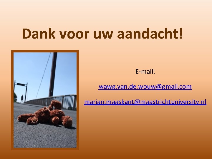 Dank voor uw aandacht! E-mail: wawg. van. de. wouw@gmail. com marian. maaskant@maastrichtuniversity. nl 