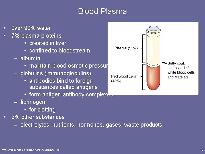 Blood Plasma • 0 ver 90% water • 7% plasma proteins • created in