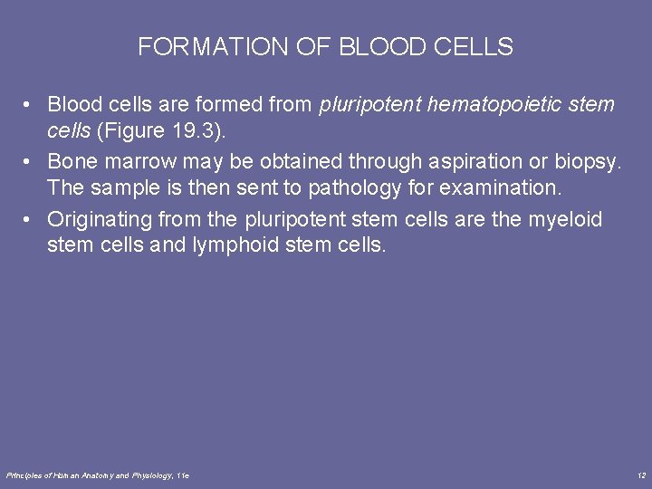 FORMATION OF BLOOD CELLS • Blood cells are formed from pluripotent hematopoietic stem cells
