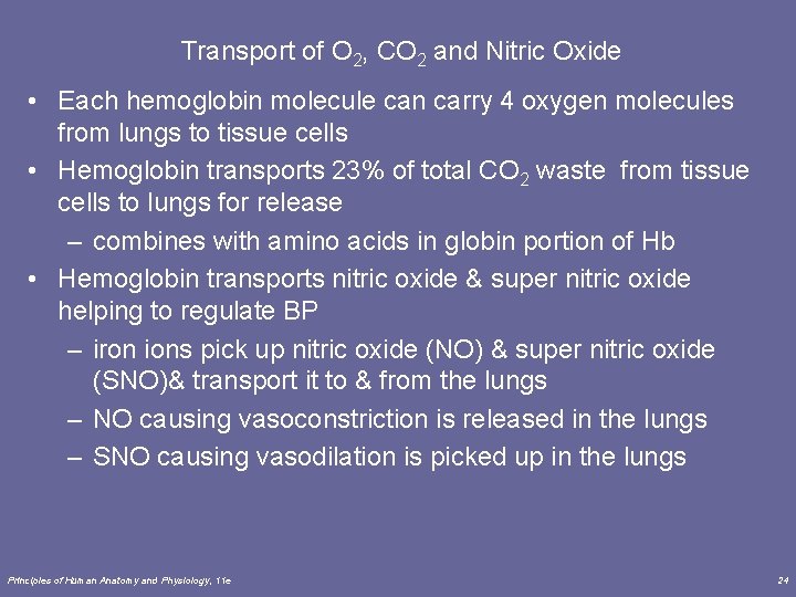 Transport of O 2, CO 2 and Nitric Oxide • Each hemoglobin molecule can