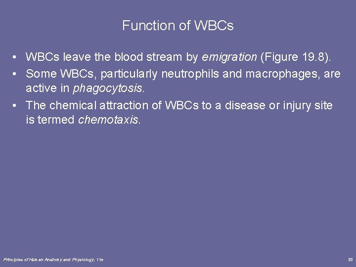 Function of WBCs • WBCs leave the blood stream by emigration (Figure 19. 8).