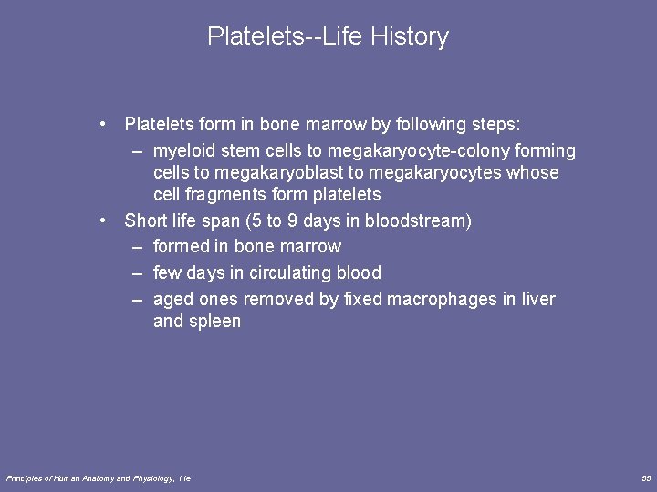 Platelets--Life History • Platelets form in bone marrow by following steps: – myeloid stem