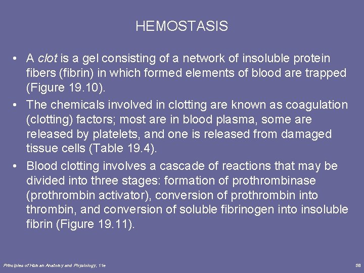 HEMOSTASIS • A clot is a gel consisting of a network of insoluble protein