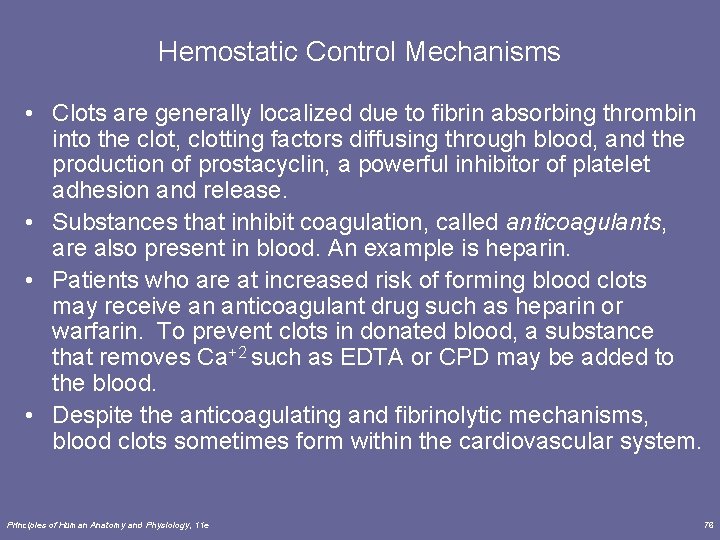 Hemostatic Control Mechanisms • Clots are generally localized due to fibrin absorbing thrombin into