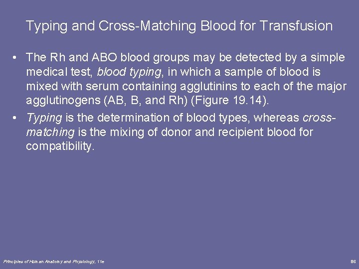 Typing and Cross-Matching Blood for Transfusion • The Rh and ABO blood groups may