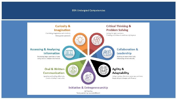 BBA Undergrad Competencies 
