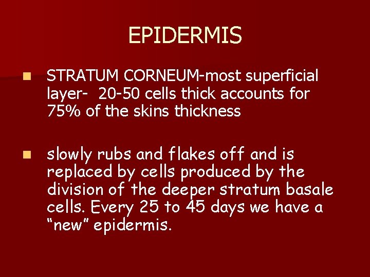 EPIDERMIS n STRATUM CORNEUM-most superficial layer- 20 -50 cells thick accounts for 75% of