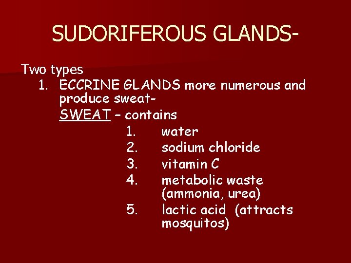 SUDORIFEROUS GLANDSTwo types 1. ECCRINE GLANDS more numerous and produce sweat. SWEAT – contains