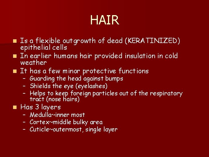 HAIR n Is a flexible outgrowth of dead (KERATINIZED) epithelial cells In earlier humans