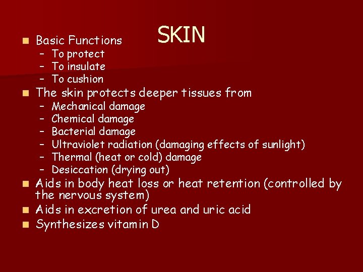 SKIN n Basic Functions n The skin protects deeper tissues from – To protect